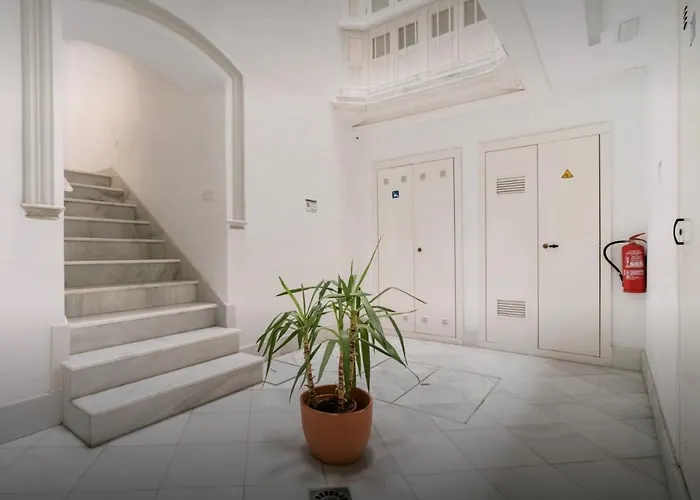 Diseno Y Confort Junto A La Catedral