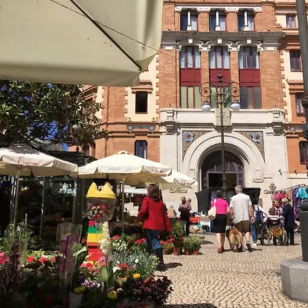 Diseno Y Confort Junto A La Catedral