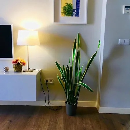 Diseno Y Confort Junto A La Catedral *