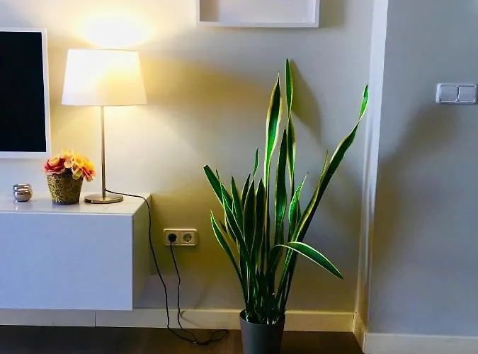 Diseno Y Confort Junto A La Catedral *